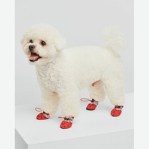 Ботинки для собак 4шт:Красный:XS