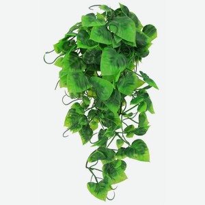 Растение для террариумов декоративное LUCKY REPTILE  Philo , 40см (Германия)