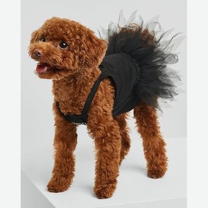 Платье для собак:чёрный:l