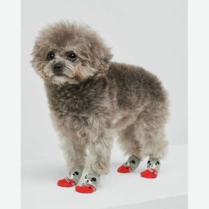 Носочки для собак 4шт:Красный:M