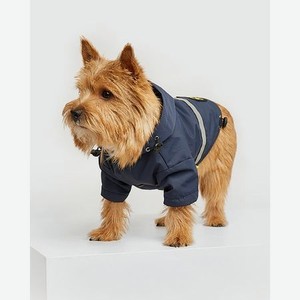 Дождевик-куртка для собак Зоозавр темно-синяя 40