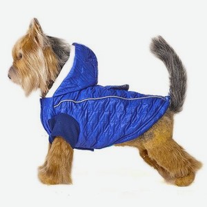 Куртка для собак Happy Puppy Синий иней 4 Синий