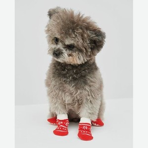 Носочки для собак 4шт:Красный:XL