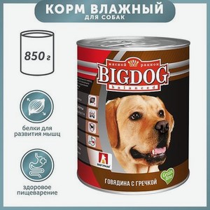 Корм для собак Big Dog 850г говядина с гречкой ж/б