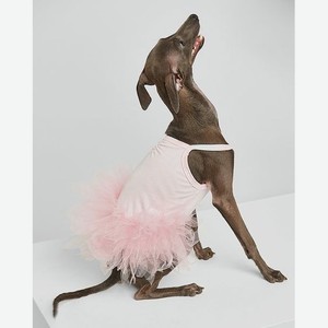 Платье для собак:розовый:l