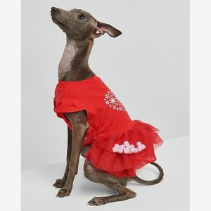 Платье для собак:красный:m