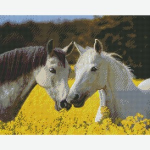 Алмазная мозаика 40х50 см Лошади в цветущем поле AS4018