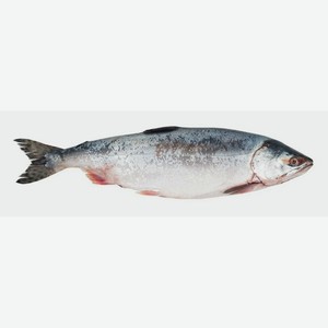 Рыба Горбуша с/м вес