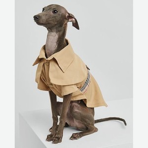 Куртка для собак: бежевый: s