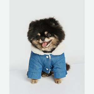 Куртка для собак Zoozavr синий 25