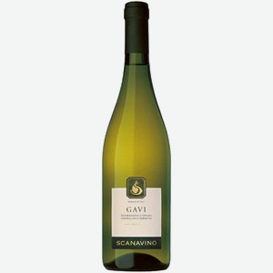 Вино Scanavino Gavi DOCG белое сухое 0,75 л