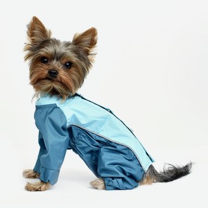 Tappi одежда дождевик для собак  Исонадэ  (XL)