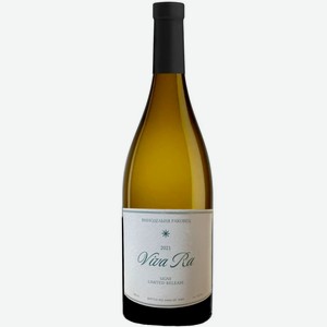 Вино тихое белое сухое Дубинин Совиньон Блан 2021 0.75 л