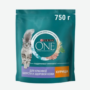 Корм сухой Purina One для взрослых кошек для здоровья кожи и шерсти с курицей и цельными злаками, 750г Россия