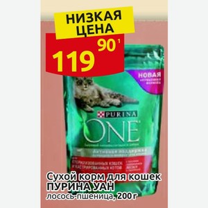 Сухой корм для кошек ПУРИНАУАН лосось-пшеница, 200г