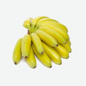 Плод Банан мини сорт Орито вес