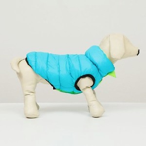 Куртка для собак Sima-Land двухсторонняя M бирюзовая/салатовая