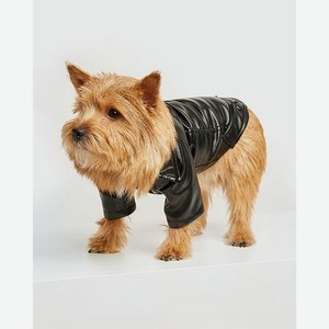 Куртка для собак Зоозавр чёрная 30
