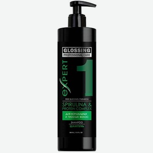 PROFESSIONAL CARE Шампунь-уход для волос «Питание и Защита» GLOSSING 500