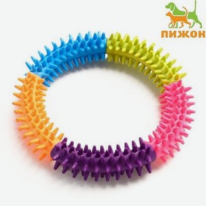 Игрушка Пижон жевательная для собак Кусочек счастья 15 см разноцветная