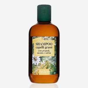 ARDES Шампунь для жирных волос, от облысения Shampoo capelli grassi 250