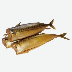 Рыба Скумбрия х/к 300+ вес Монолит