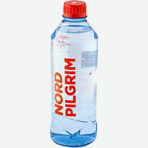 Вода Nord Piligrim питьевая 500мл