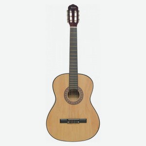 Гитара Terris TC-3901ANA коричневая