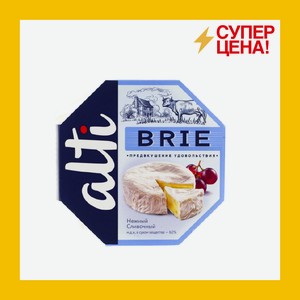 Сыр пастеризованный Алти Бри 100 гр