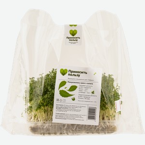 Микрозелень свежая Табрис кресс-салат Целых А.В. ИП п/у, 40 г