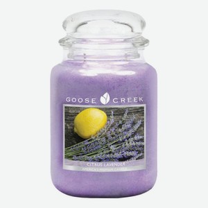 Ароматическая свеча Citrus Lavender (Цитрус и лаванда): свеча 680г
