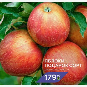 яблоки ПОДАРОК СОРТ ДЖОНАГОРЕД 75/90 1 кг