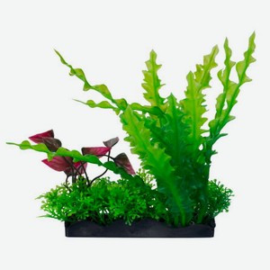 Растение для аквариума HOMEFISH Асплениум и людвигия пластиковое с грузом, 17 см