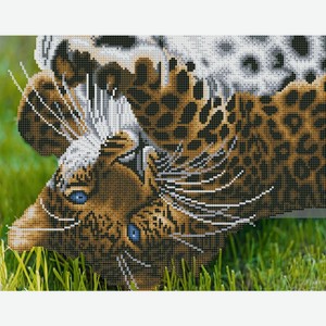 Алмазная мозаика 40х50 см Игривый леопард ASD5021