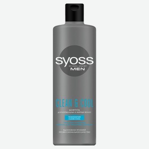 Шампунь для волос мужской «Сьёсс» Clean&Cool Men, 450 мл