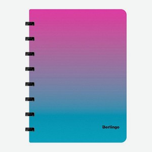 Бизнес-тетрадь Berlingo Radiance А5+ 80 листов клетка на кольцах 80г/м2 пластиковая обложка 700мкм розовый/голубой
