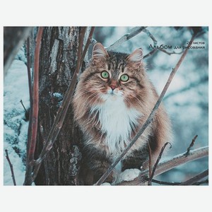Альбом Unnika land Пушистый кот 20л