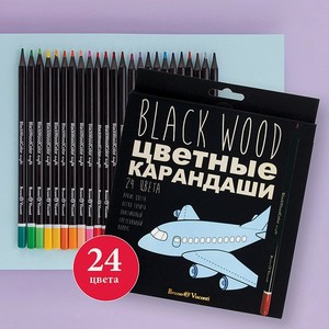 Карандаши цветные Bruno Visconti BlackWoodColor 24 цвета пластиковые