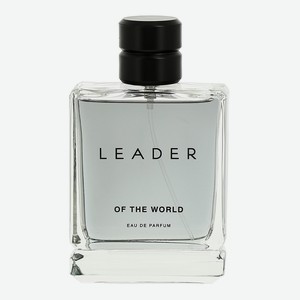 Туалетная вода LEADER OF THE WORLD фужерный аромат, мужская, 100 мл