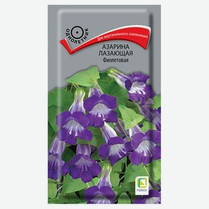 Семена «Поиск» Азарина лазающая Фиолетовая, 10 шт