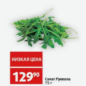 Салат Руккола 75 г