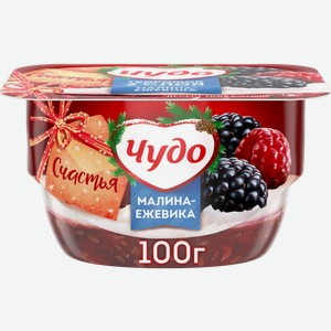Десерт творожный Чудо Малина ежевика 4.2% 100г
