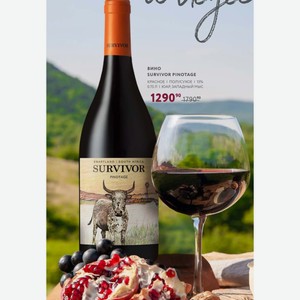 Вино Survivor Pinotage Красное Полусухое 15% 0.75 Л Юар, Западный Мыс