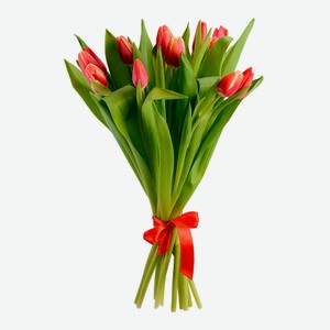 Букет тюльпанов, 5шт цветовая палитра в ассортименте Россия