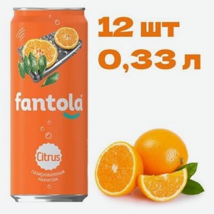 Лимонад Черноголовка Fantola Citrus ж/б 0,33 л 12 шт