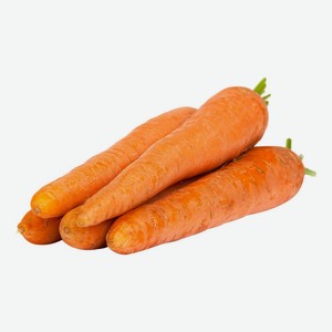 Морковь вес соц.