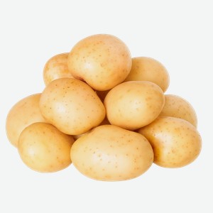 Корнеплод молодой отборный картофель белый подложка, 1 КГ