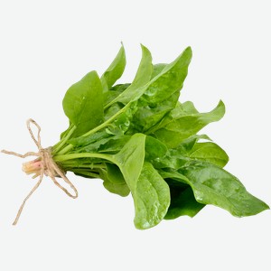 Зелень свежая шпинат Вита пучок, 1 шт