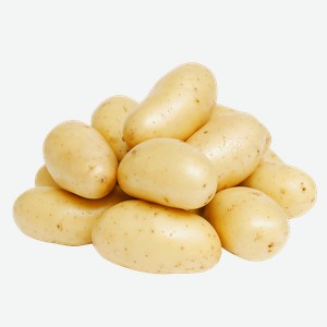 Корнеплод молодой крупный картофель белый вес