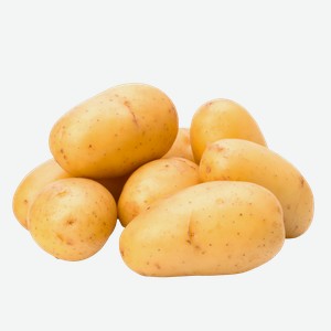 Корнеплод местный ранний картофель белый Игнина Д.Р. сетка